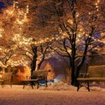 Drei Bänke in einem Park im Winter. In den Bäumen hängen Lichterketten