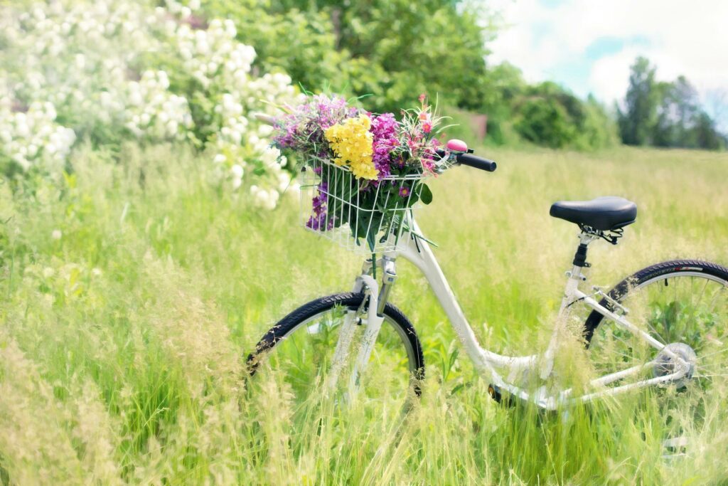 Fahrrad mit Korb voll Blumen auf eine wild bewachsenen Wiese
